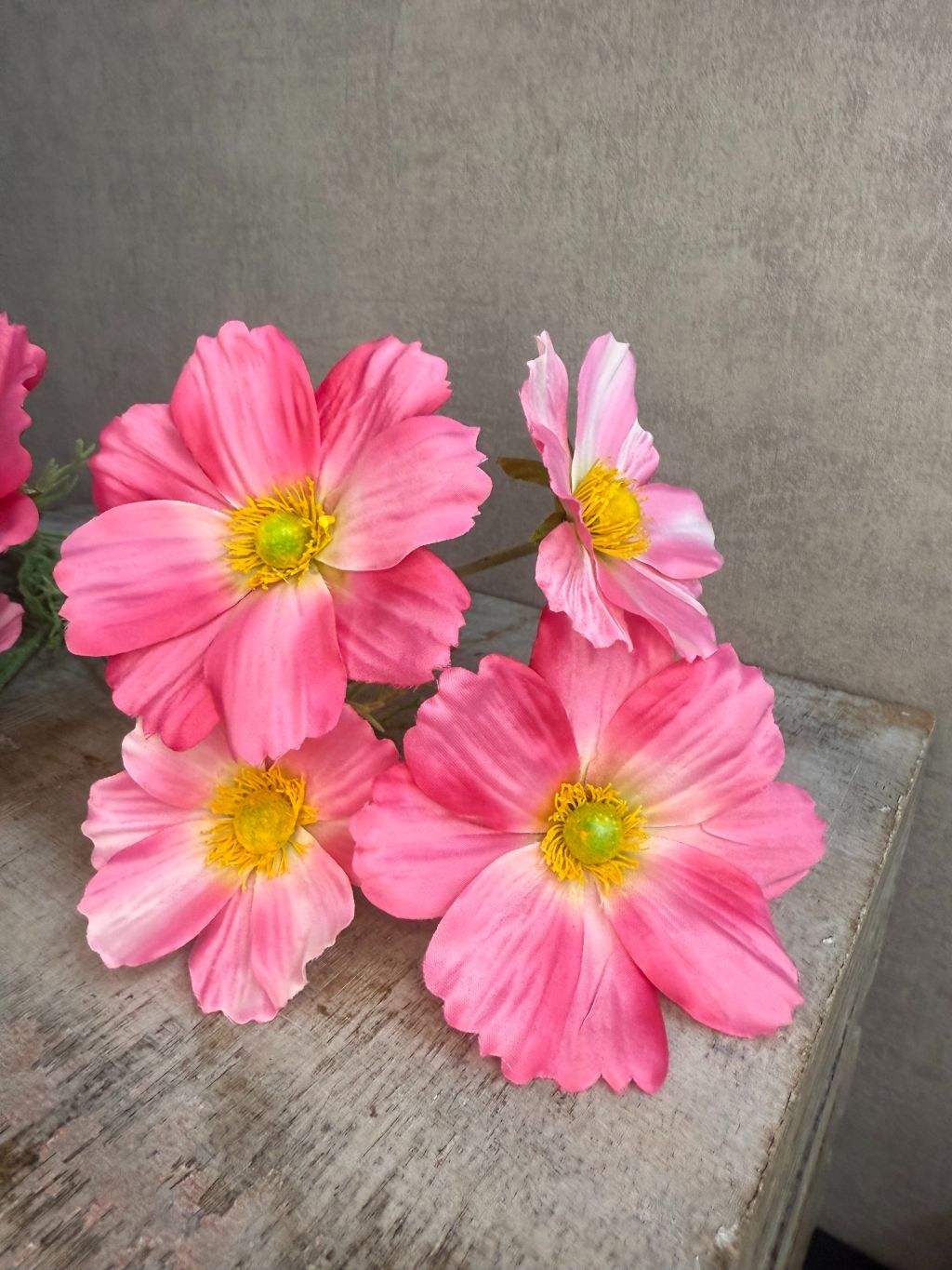 Kunstbloem Cosmos met zes roze bloemen met gele hartjes, op een groene steel met fijne blaadjes, liggend op een grijze ondergrond.