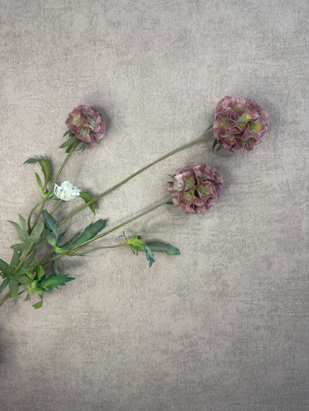 Kunsttak met drie oudroze Scabiosa bloemen en groene bladeren, liggend op een grijze ondergrond met fijne structuur.