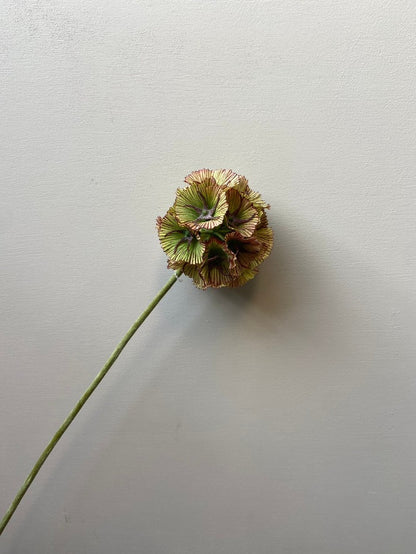 Kunstbloem Scabiosa seed