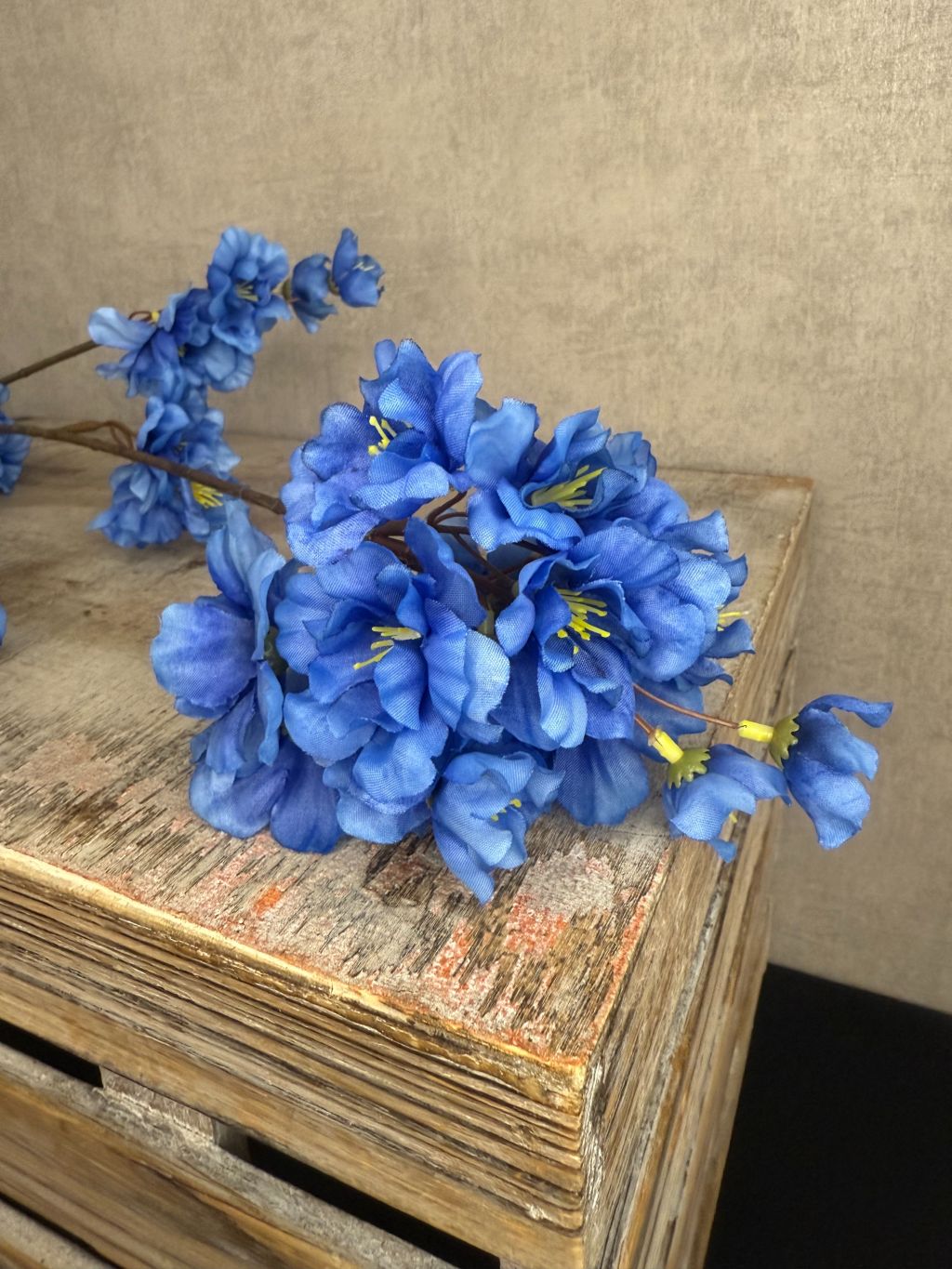 Seidenblütenzweig Prunus blau