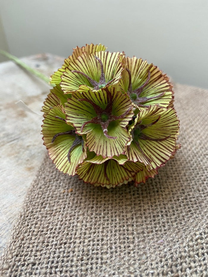 Fleur artificielle Scabiosa graine