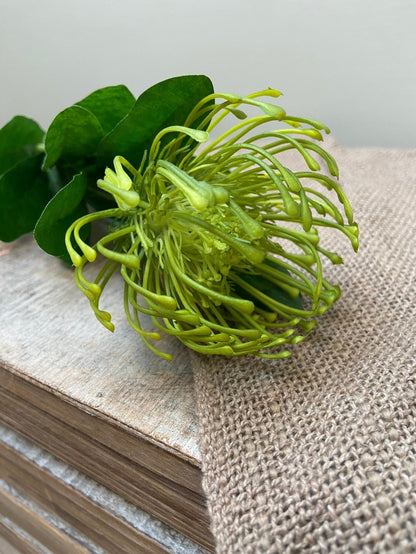Kunstbloem Leucosper Mum