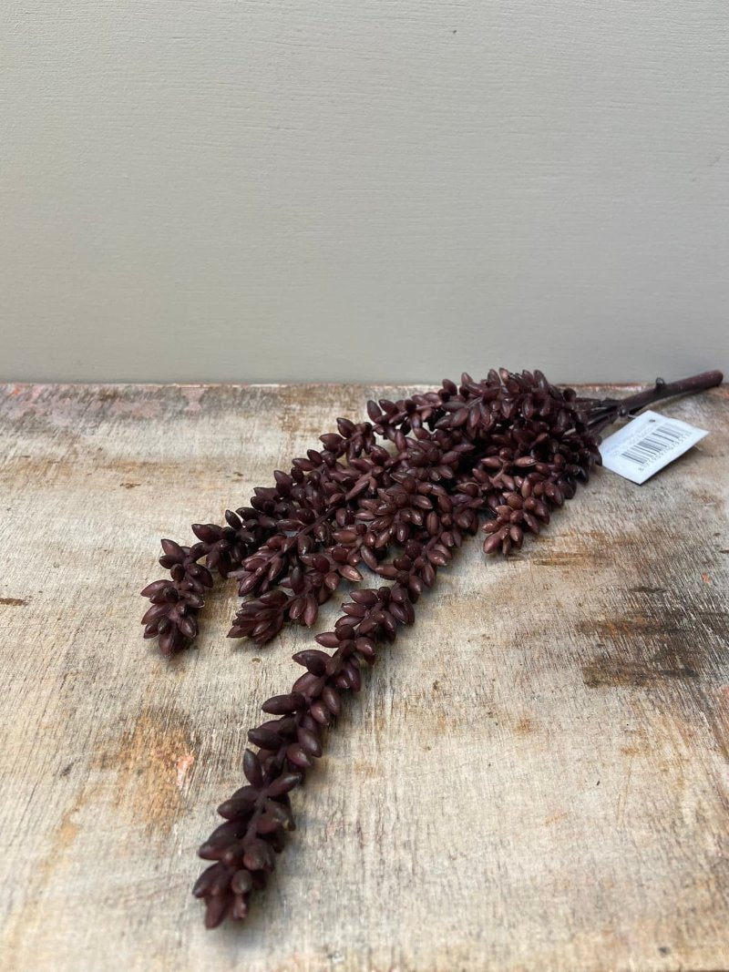 Artificial pea plant brown