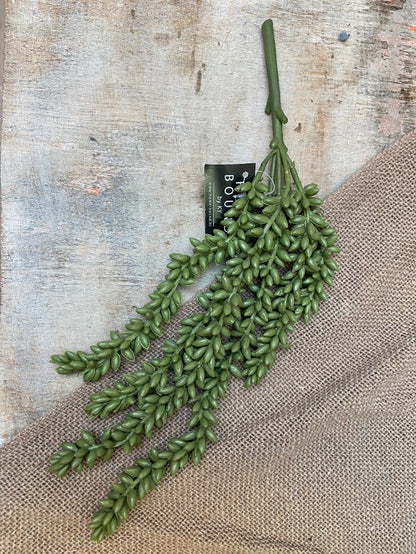 Erwtenplant kunst groen