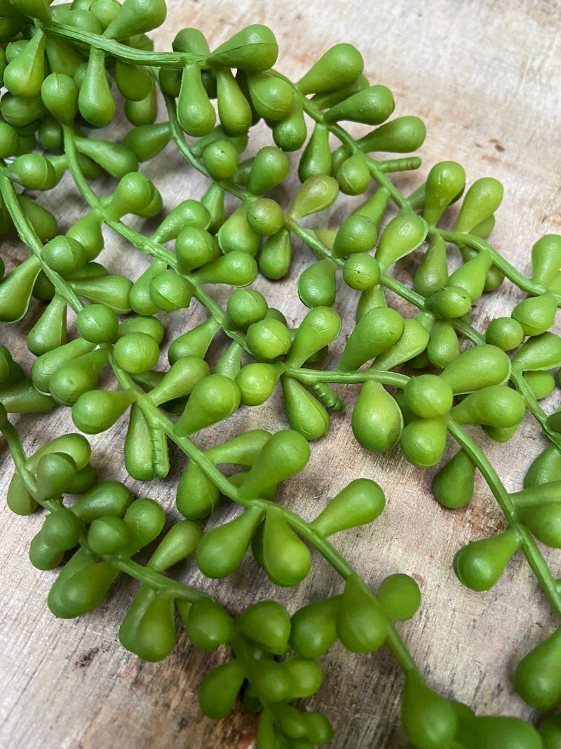 Artificial pea plant green round long