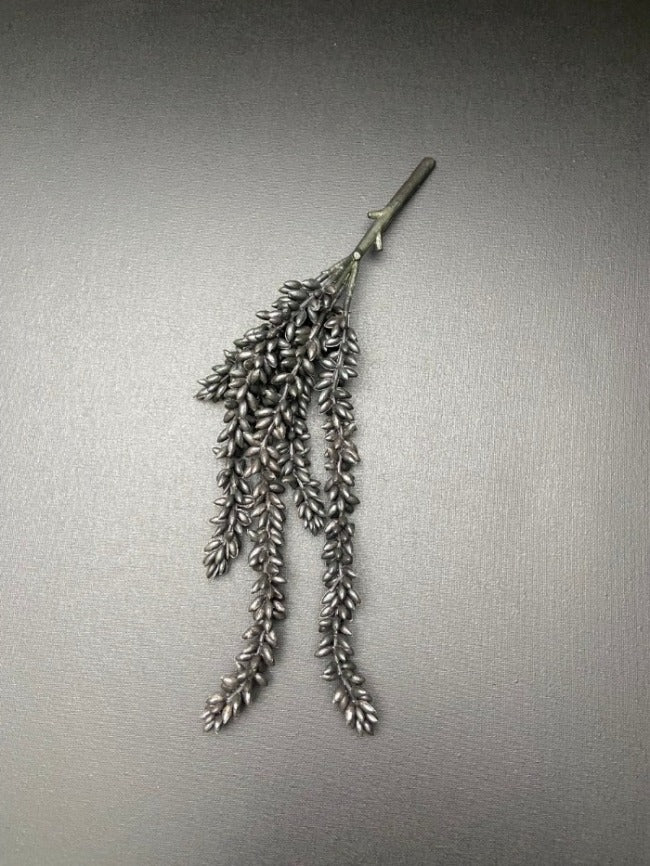Erwtenplant kunst zwart