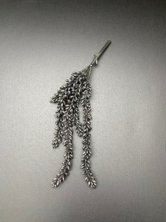 Erwtenplant kunst zwart