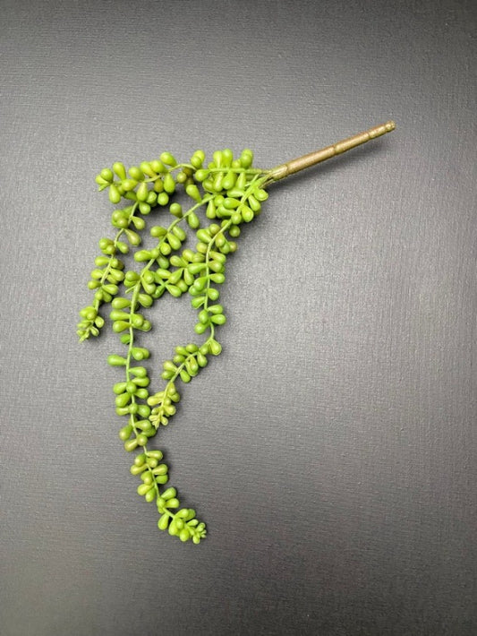 Erwtenplant groen