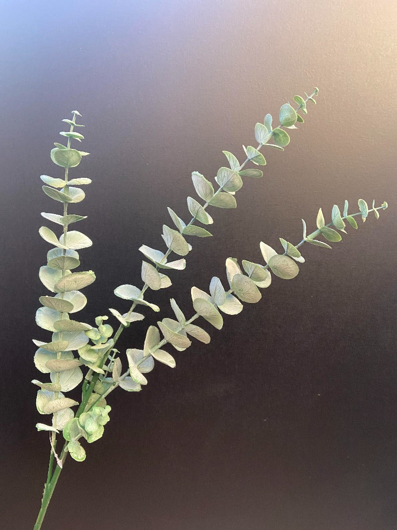 Kunstig gren Eucalyptus