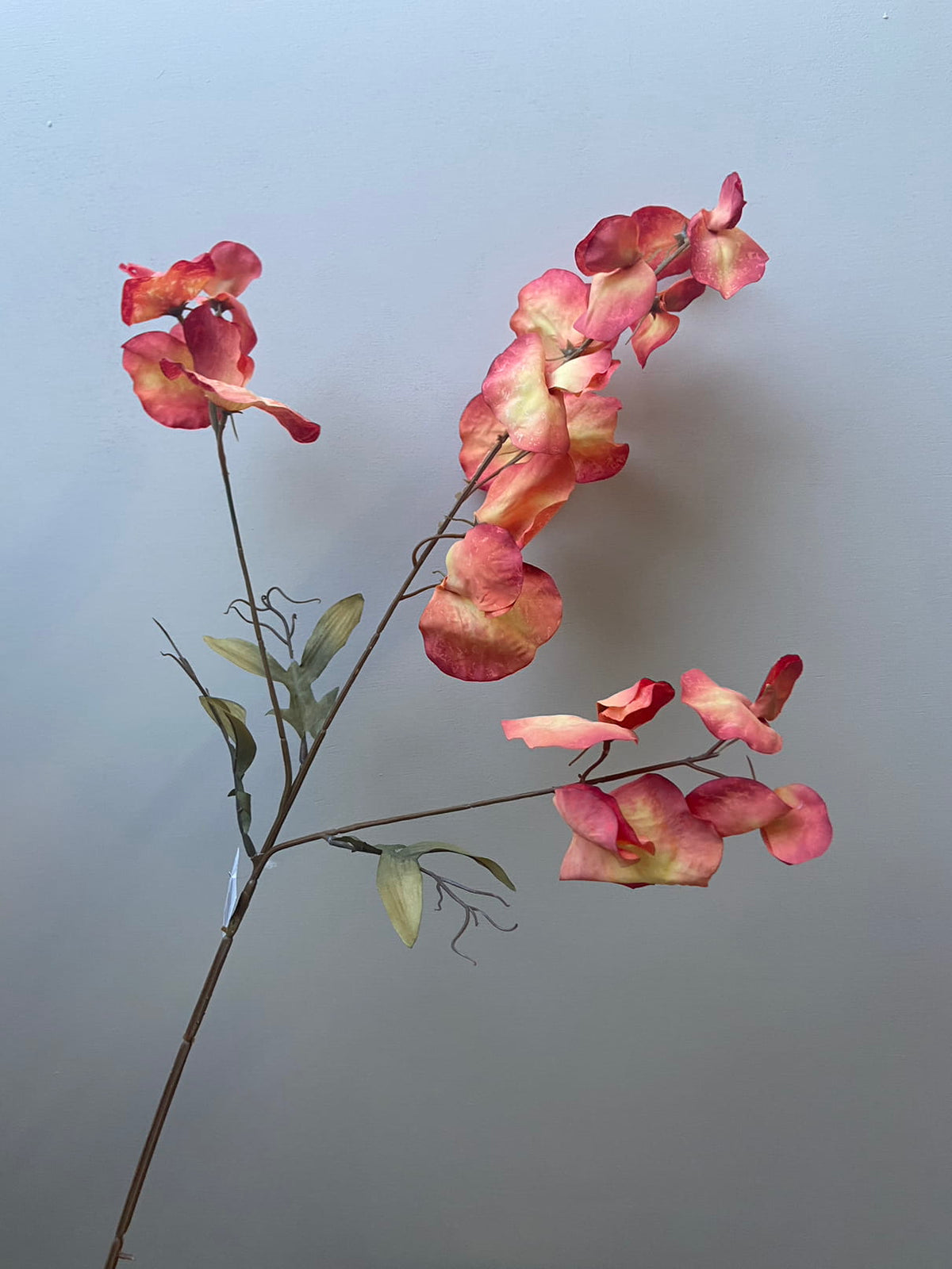 Kittelbloem oranje zijden bloem / kunstbloem