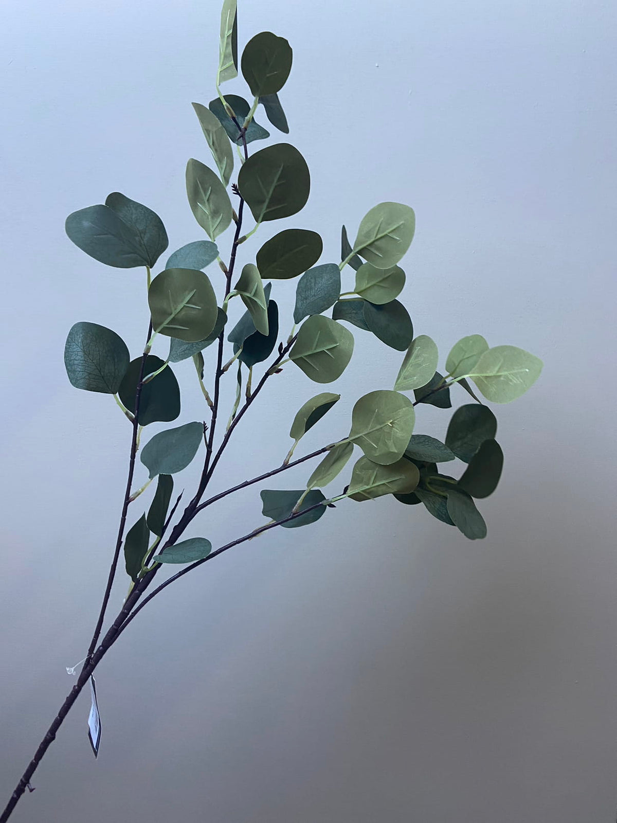 Feuille d'eucalyptus branche artificielle