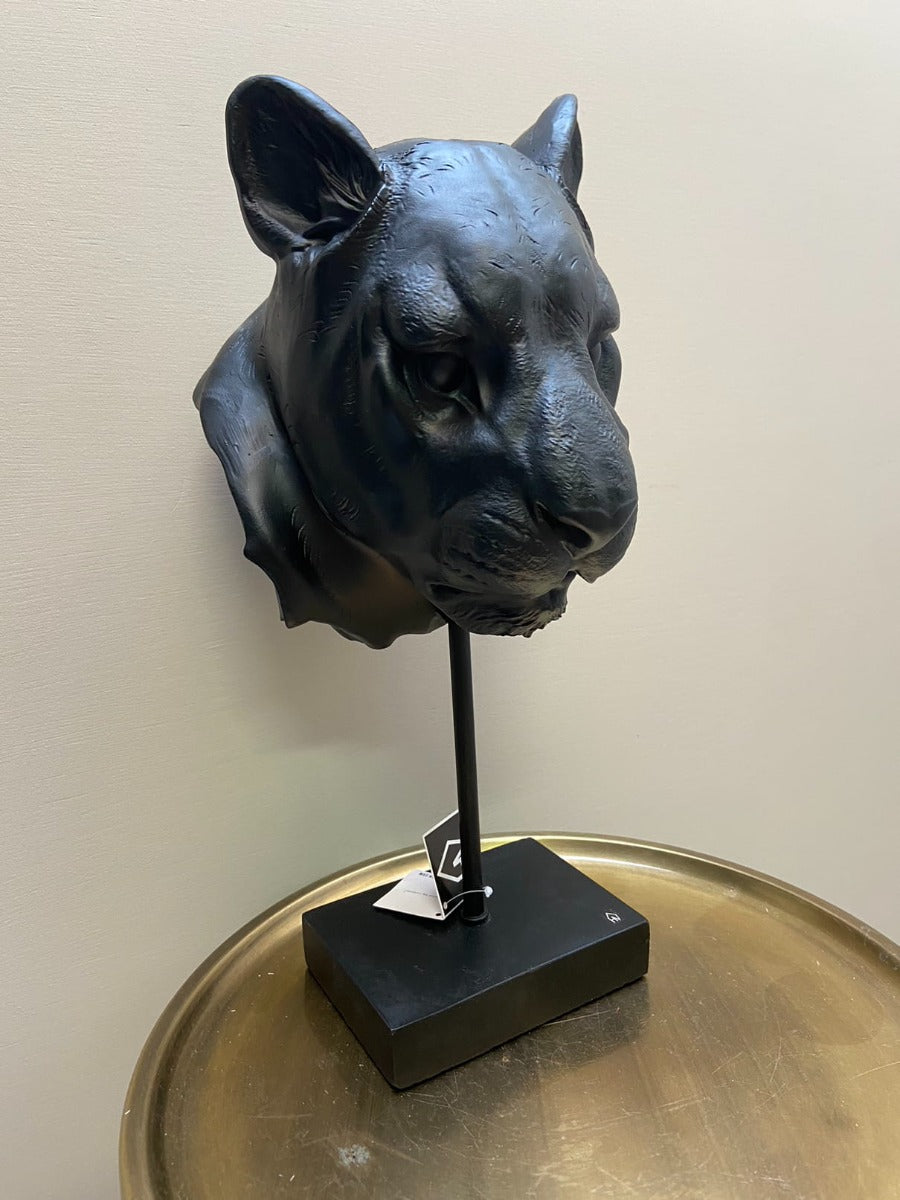 Black tiger head image