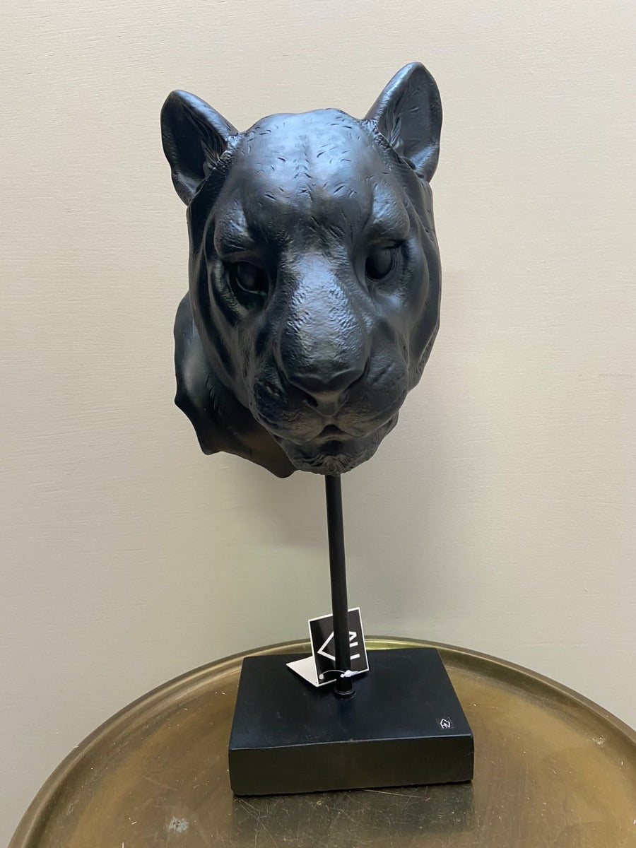 Black tiger head image
