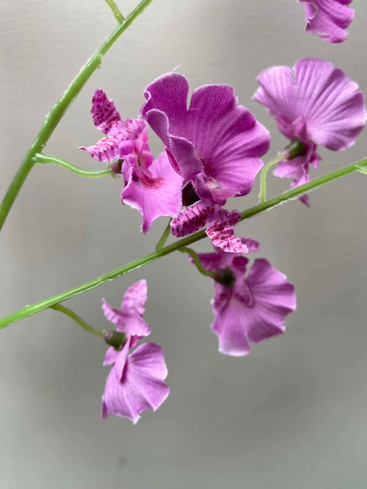 Orchidea selvatica del fiore artificiale