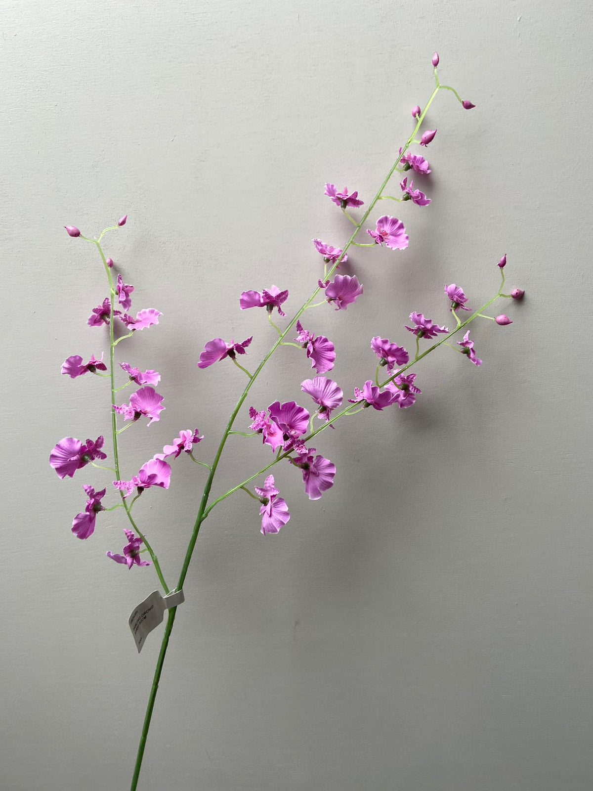 Orchidea selvatica del fiore artificiale