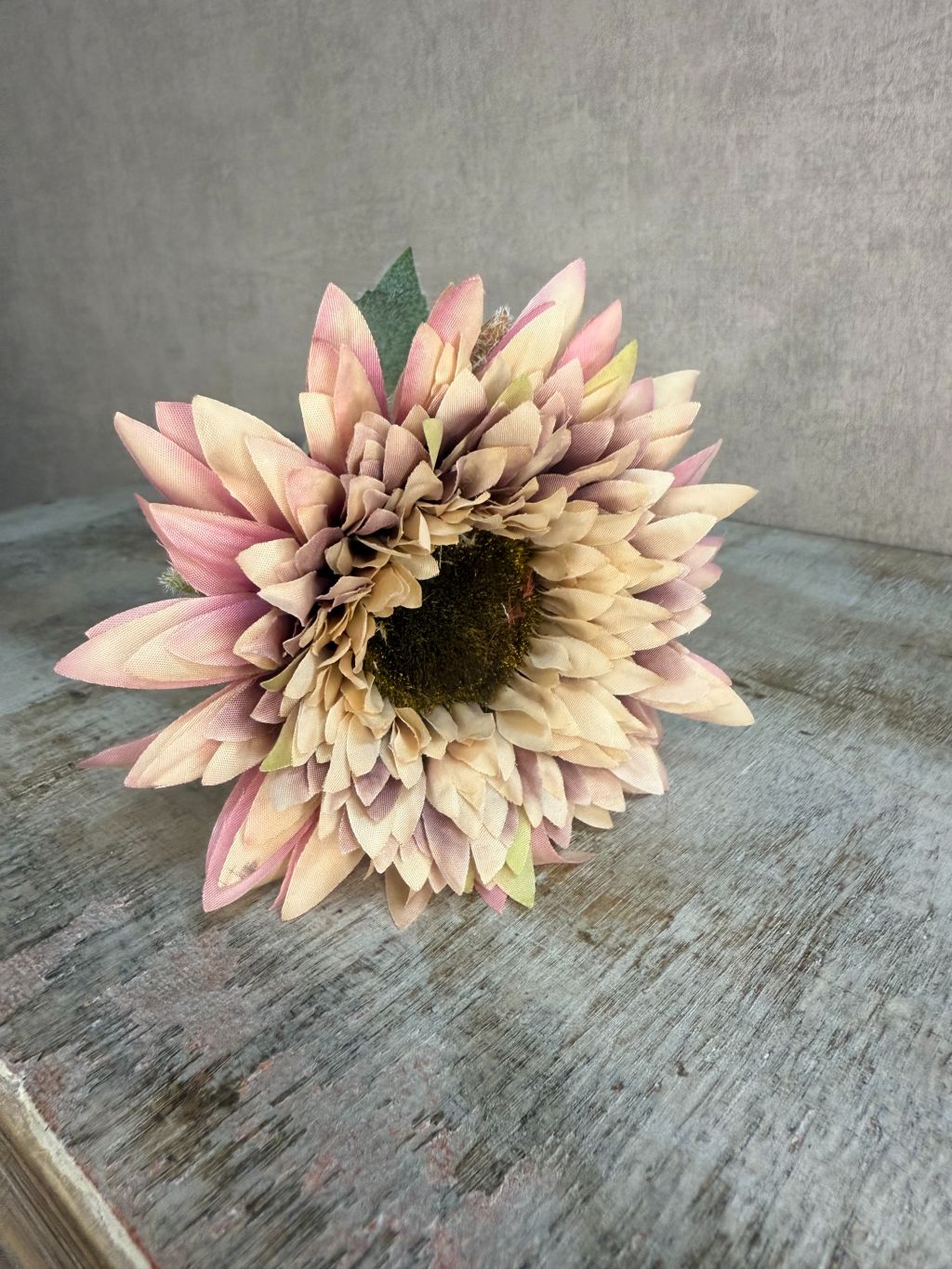 Fiore artificiale Gerbera | Beige