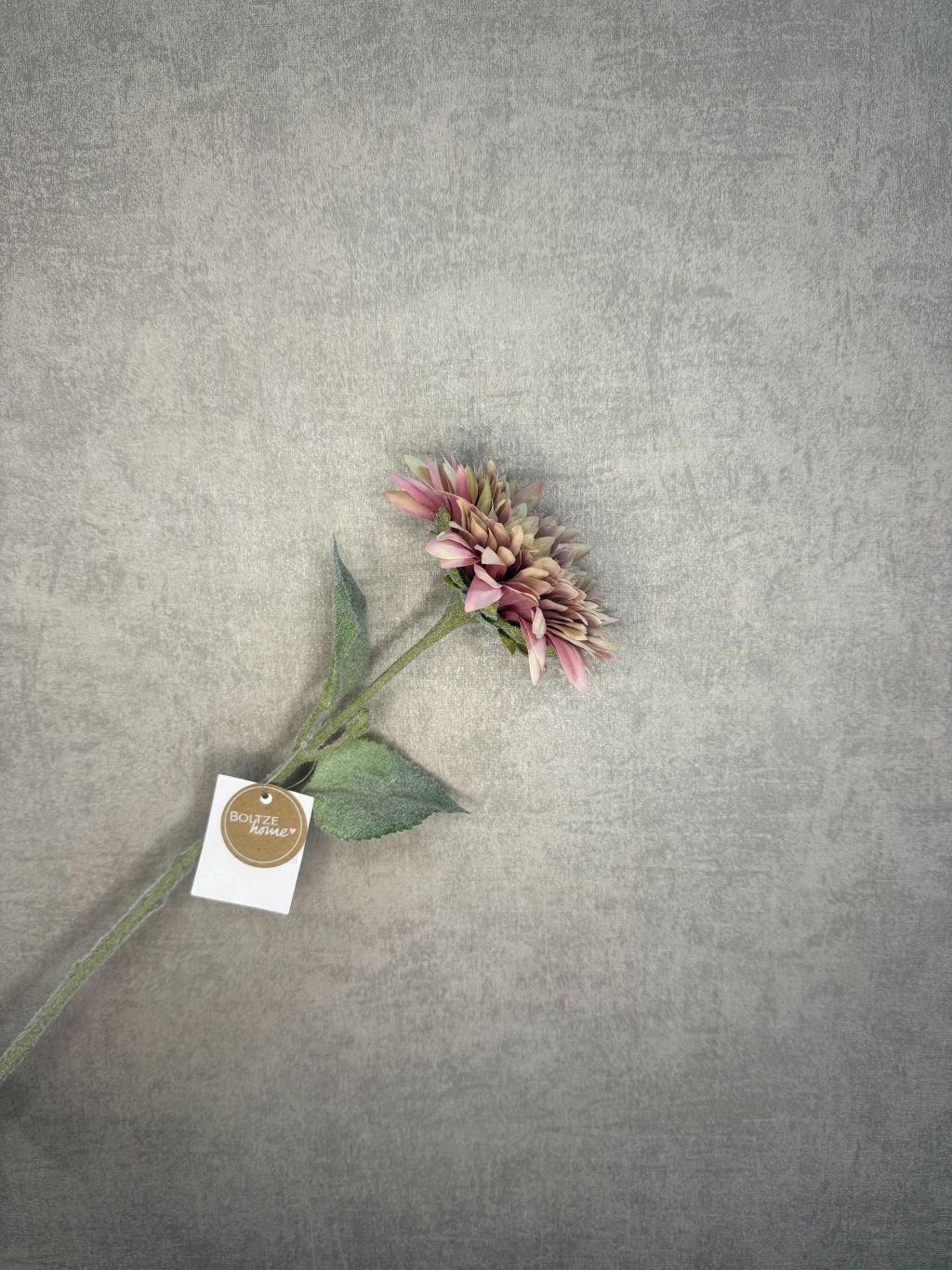 Fiore artificiale Gerbera | Beige
