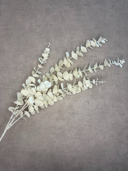 Kunsttak eucalyptus in creme kleur