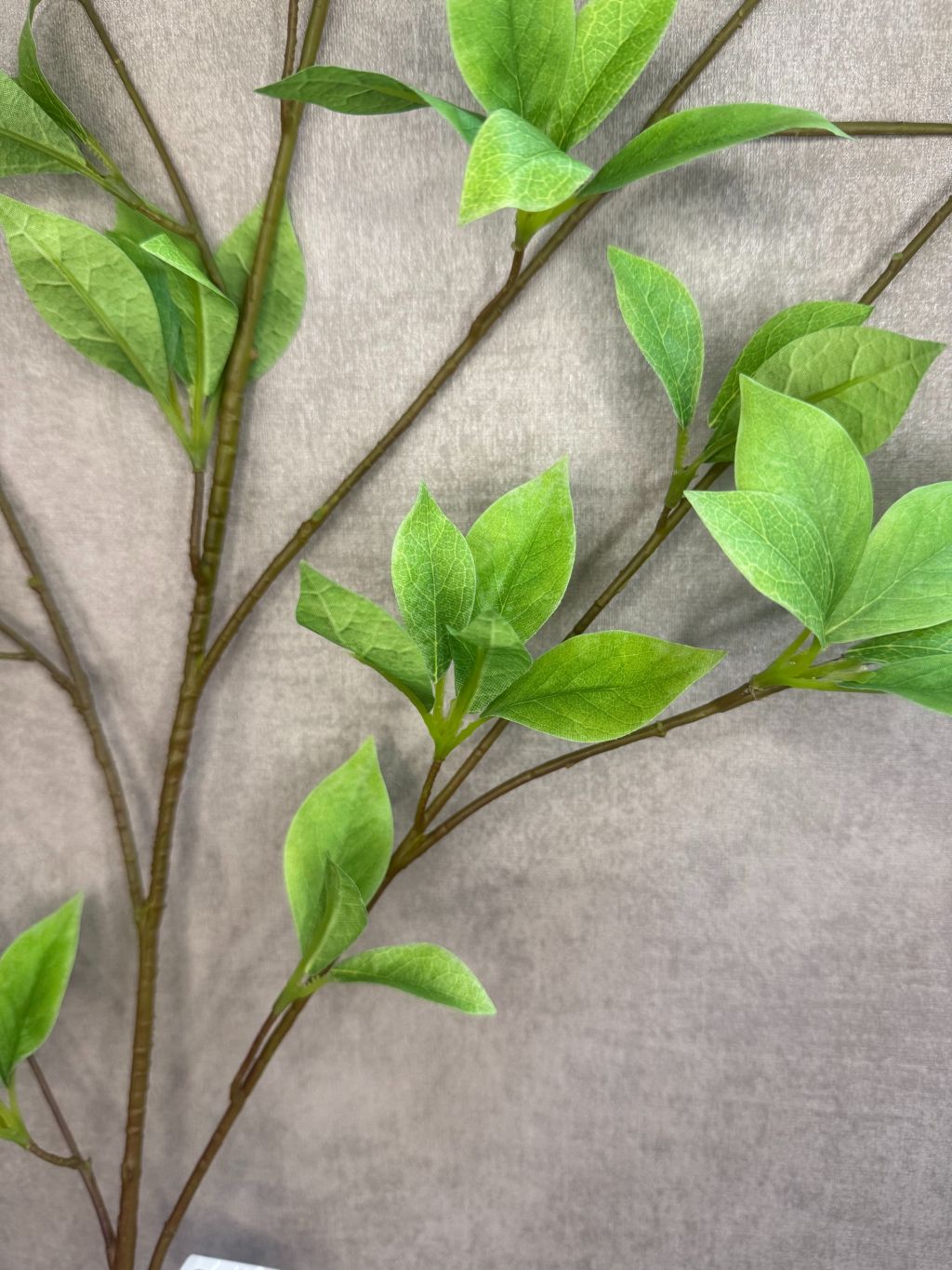 Rama artificial hoja Brasiliana