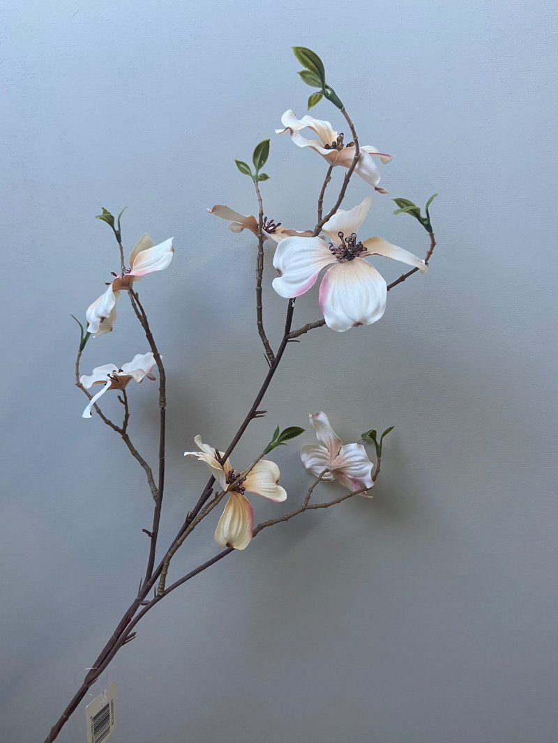 Kunsttak Dogwood crème