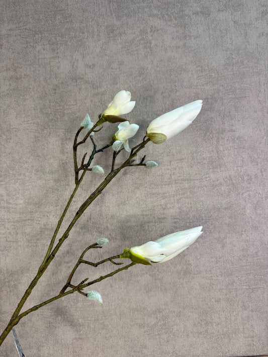 Branche de magnolia artificielle fermée | Blanche