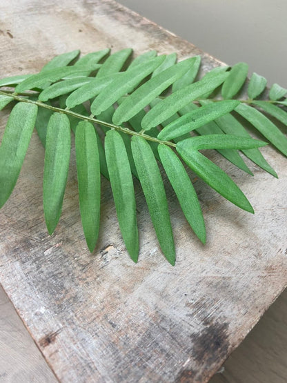 Kunsttak Palm fern