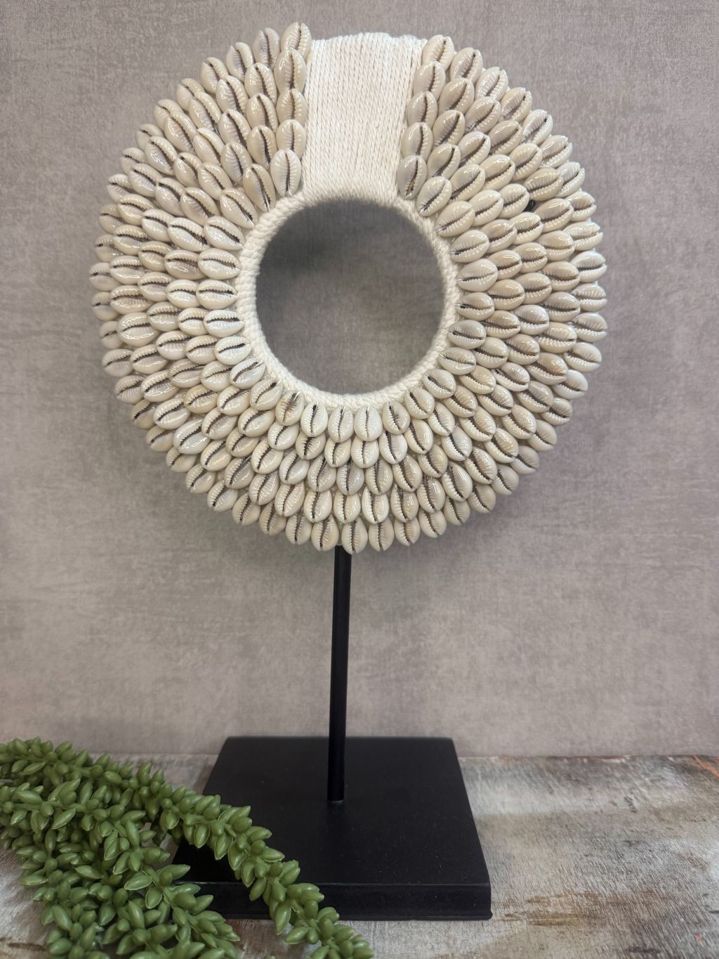 Papua shell