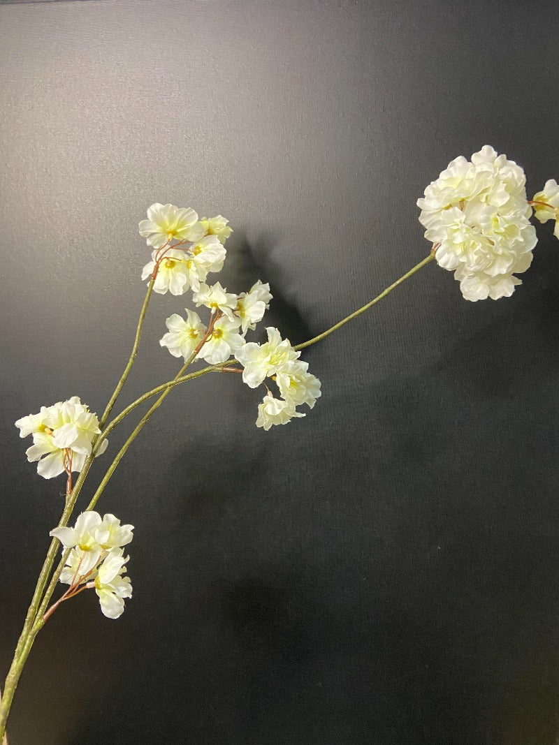 Silkeblomstgren Prunus hvid