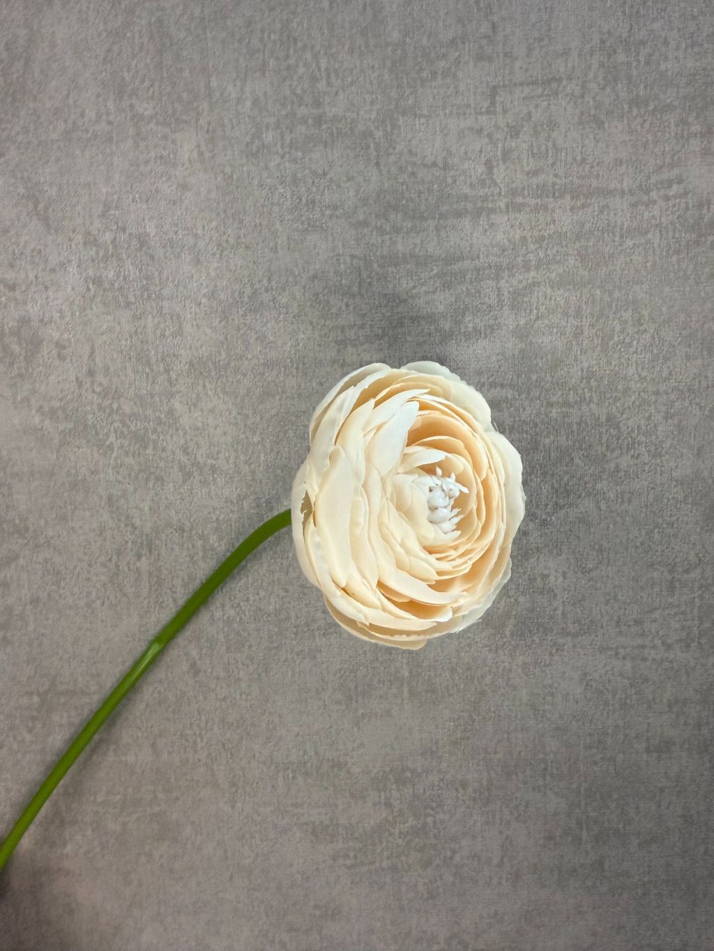 Sztuczny kwiat Ranunculus | Szampan