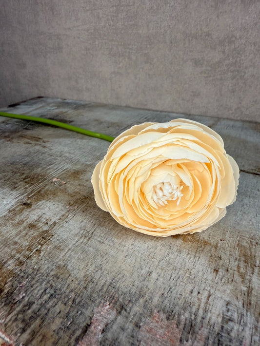 Kunstblume Ranunkel | Champagner
