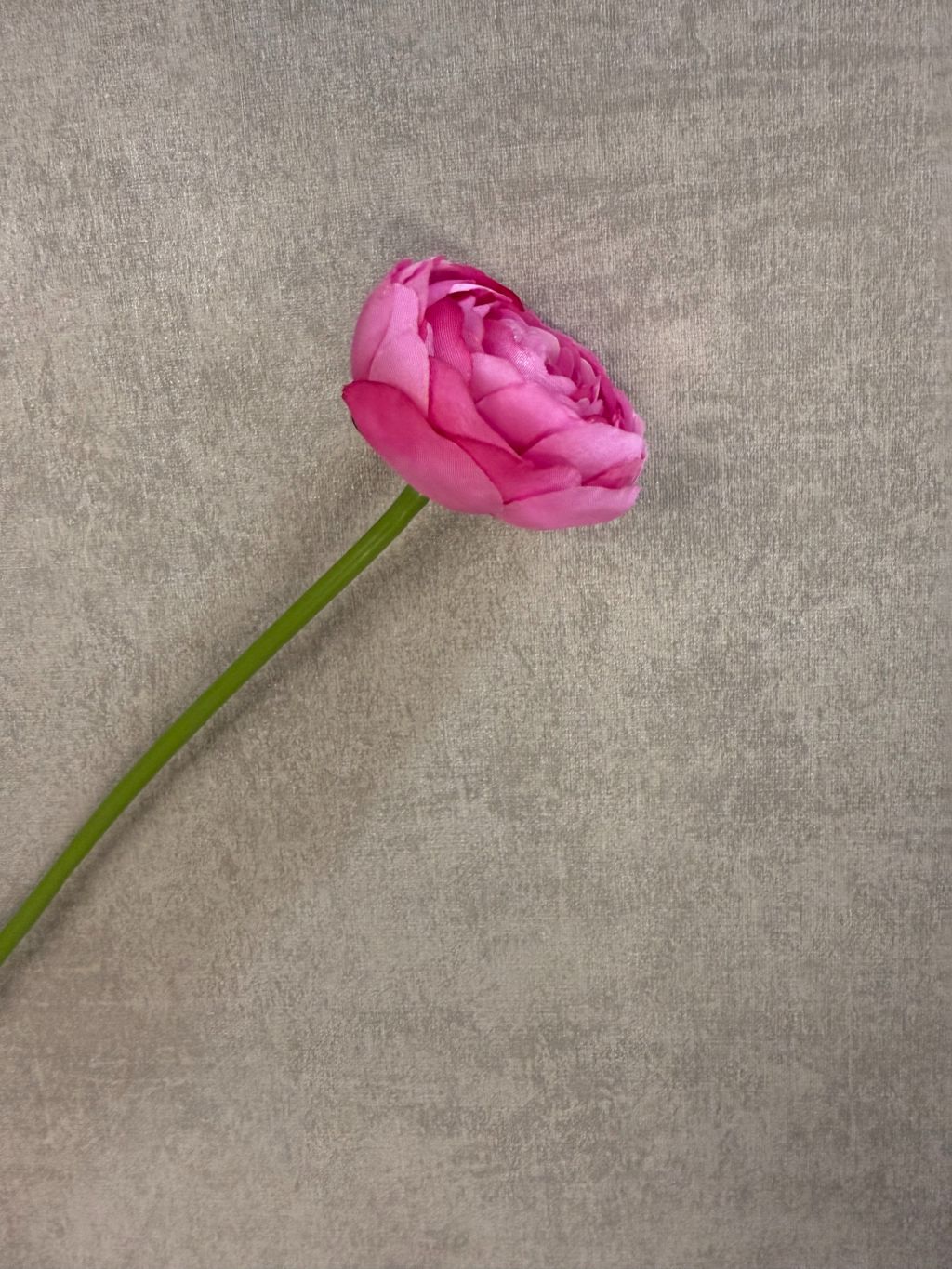 Kunstbloem ranonkel in roze tint met realistische bloemstructuur en groene steel, liggend op een houten oppervlak.