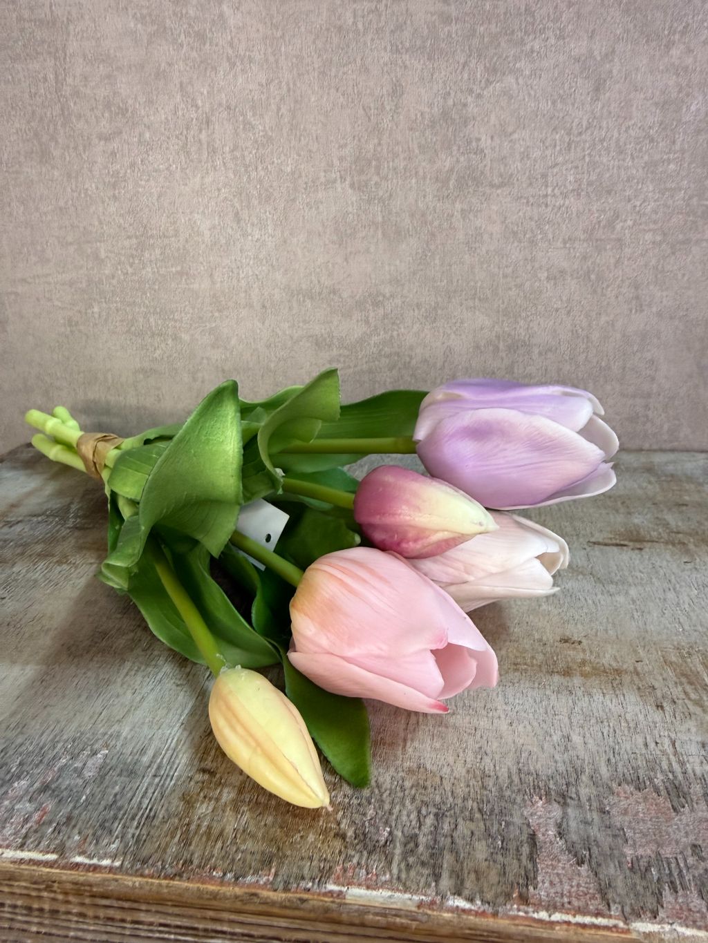 Tulipani veri al tatto | Pastello 30