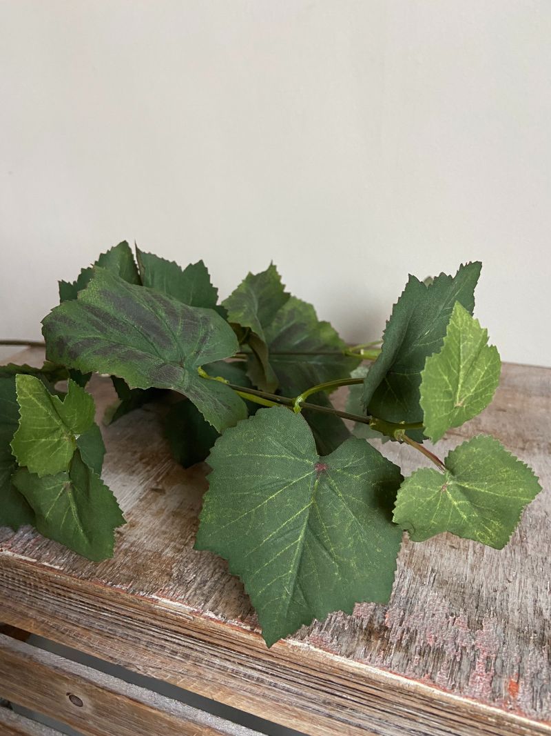 Art branch Grape leaf