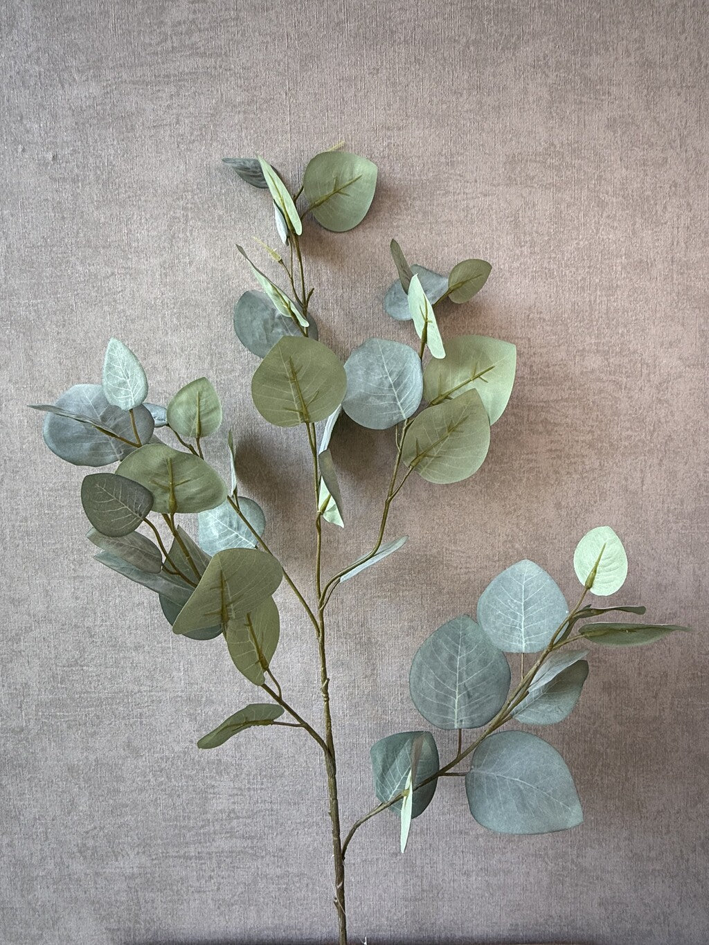 Kunsttak Eucalyptus 95 cm groen van HomeBound by KY met realistische ronde bladeren.