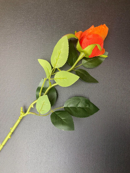 Gesloten roos oranje