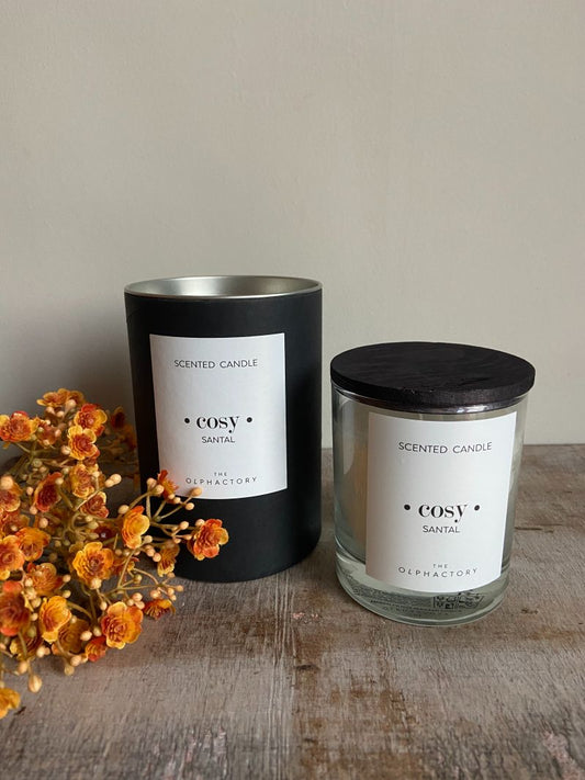 Geurkaars cosy santal