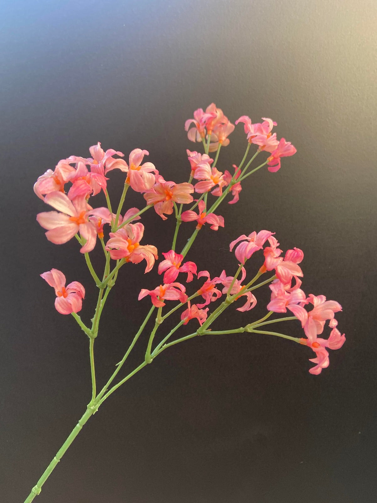 close up hyacint roze