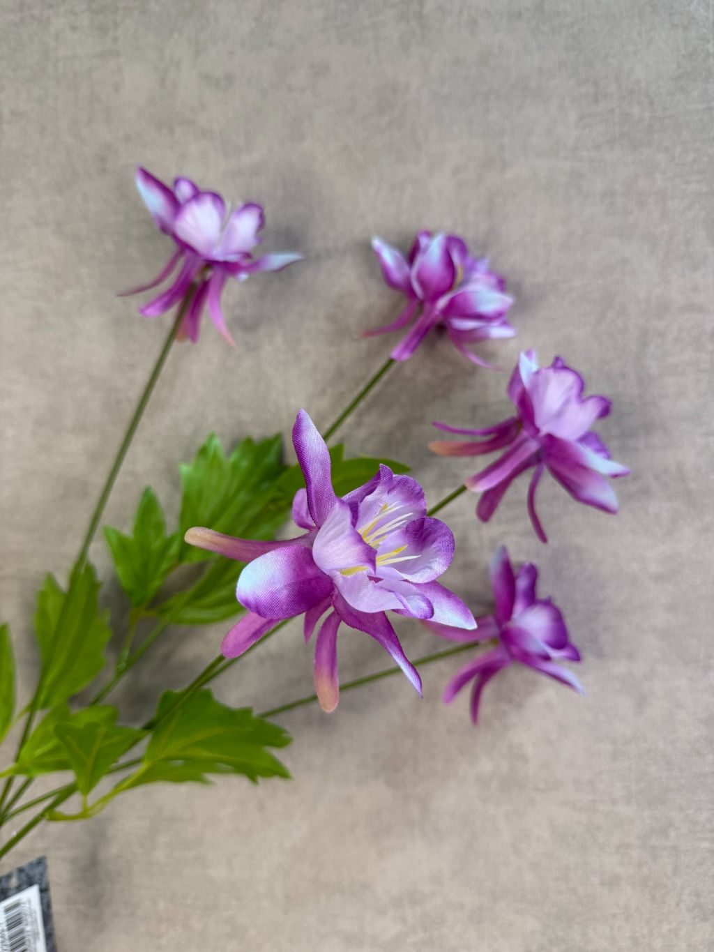 Paarse kunstbloem akelei met meerdere bloemen en groene bladeren tegen een neutrale achtergrond.