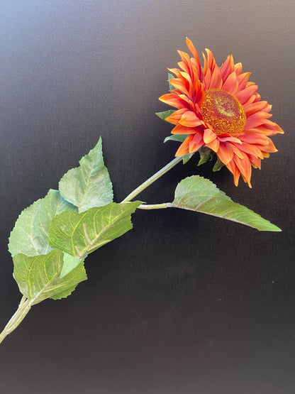zonnebloem roest met bladeren
